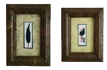 Miniature Trees in Ebru Frames