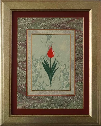 Red Tulip