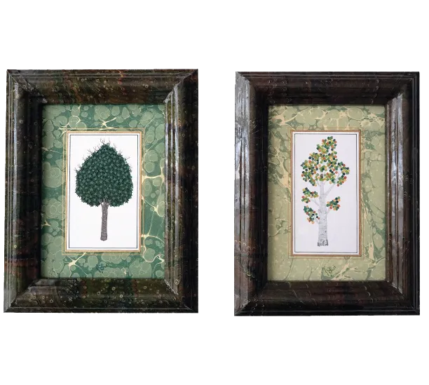 Maple & Aspen Miniature Trees